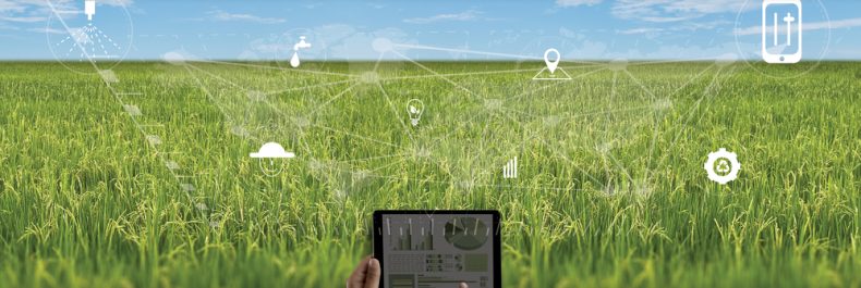 agriculture technology concept man Agronomist Using a Tablet in an Agriculture Field read a report integrate artificial intelligence machine learning technology  5G