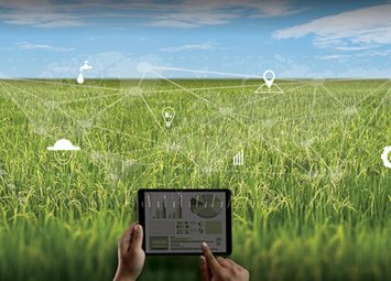 a person holding a tablet in front of a field of green grass